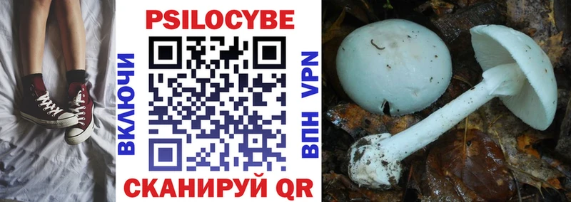 купить  цена  сайты даркнета официальный сайт  Псилоцибиновые грибы Psilocybe  Барыш 